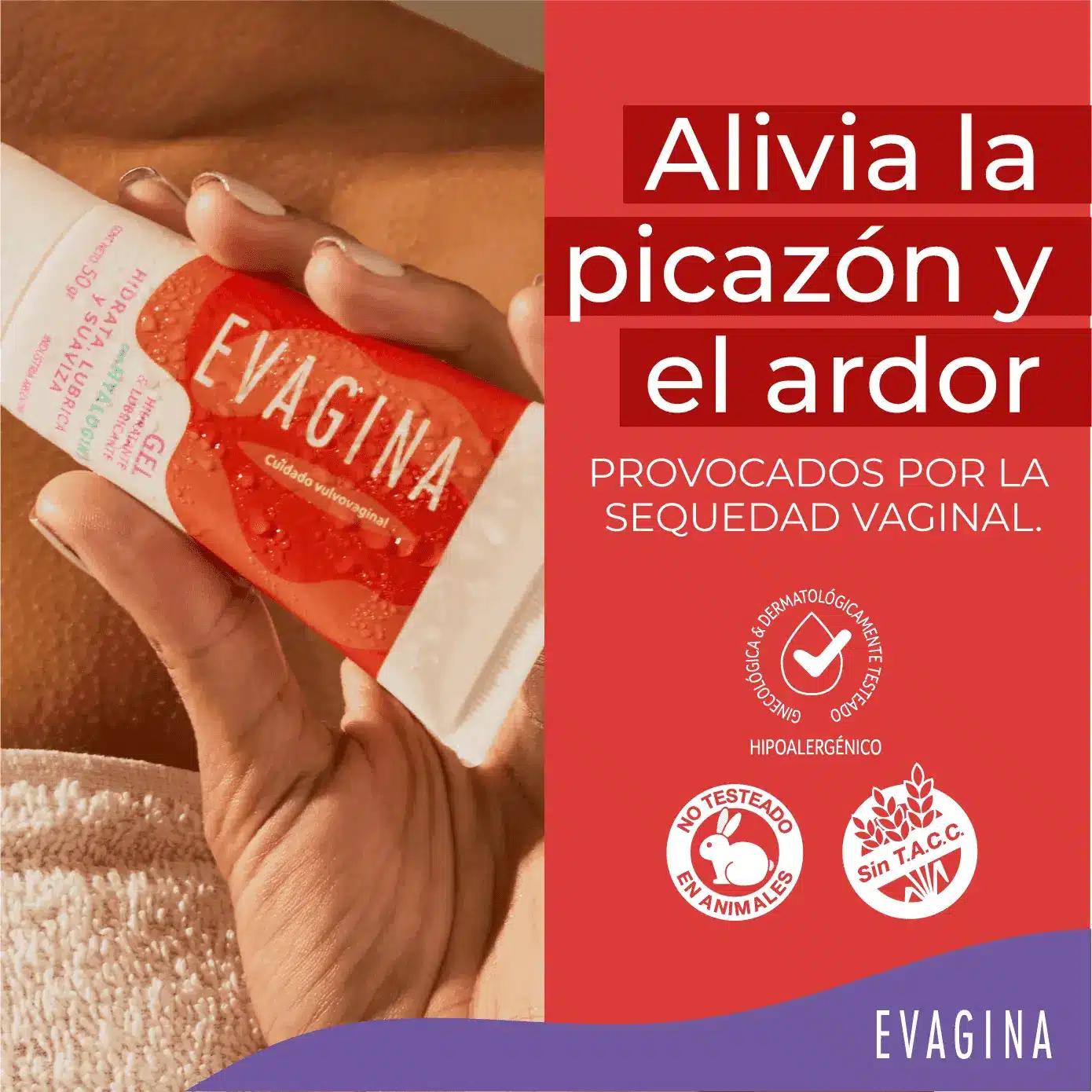 Imagen de galería 2
