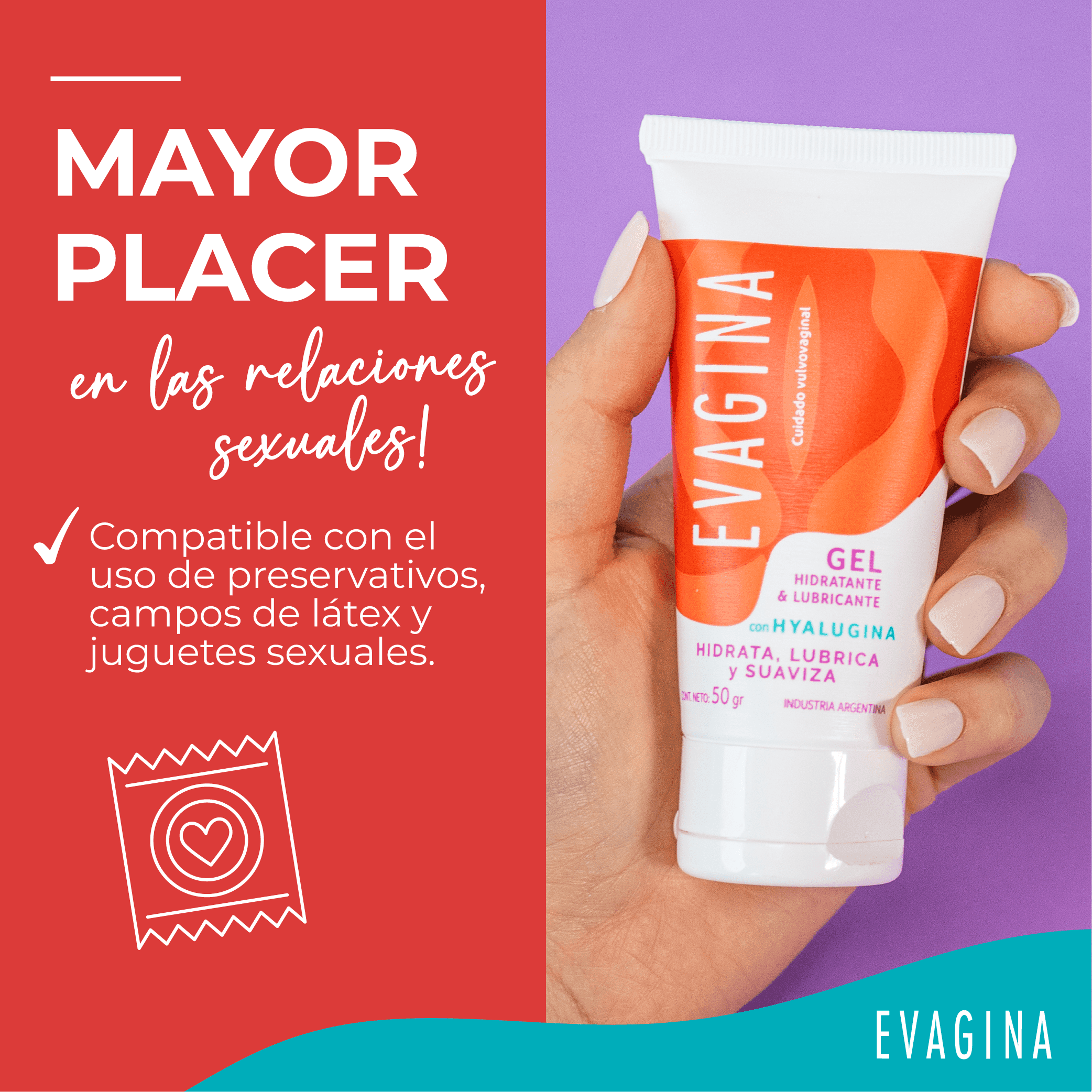 Imagen de galería 4