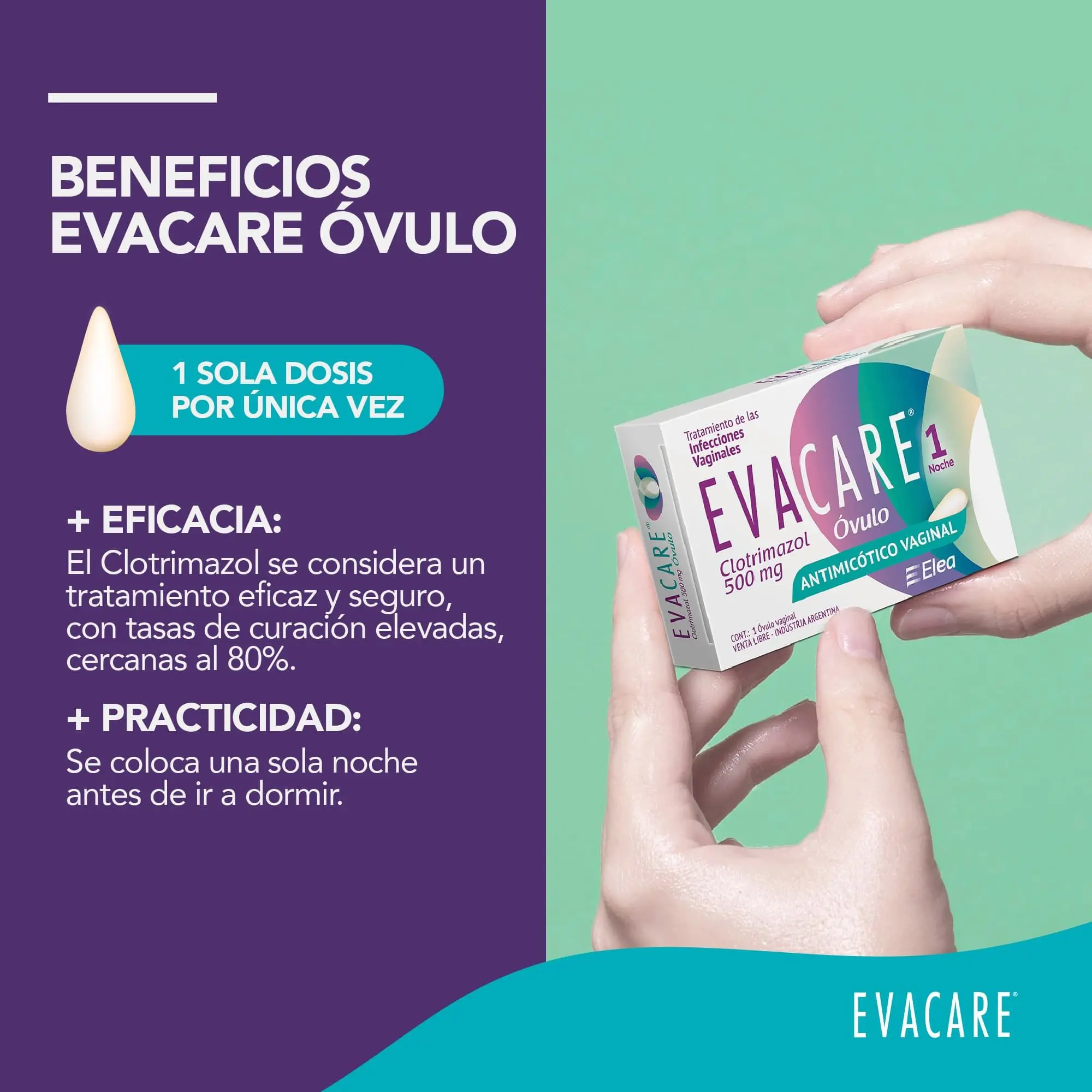 Imagen de galería 2