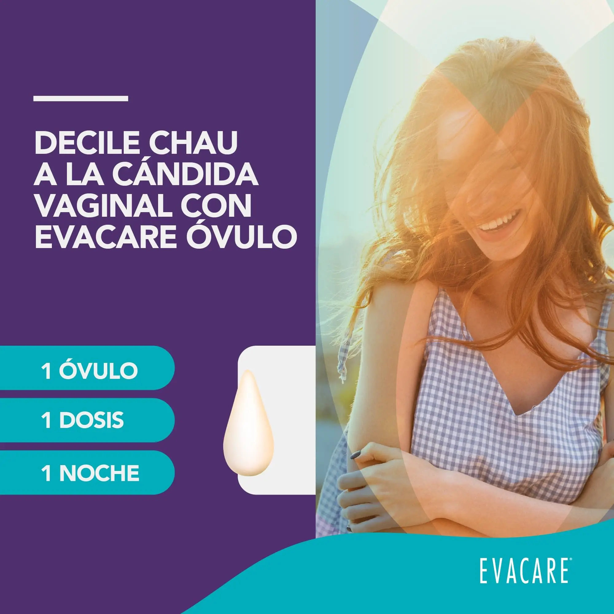 Imagen de galería 3