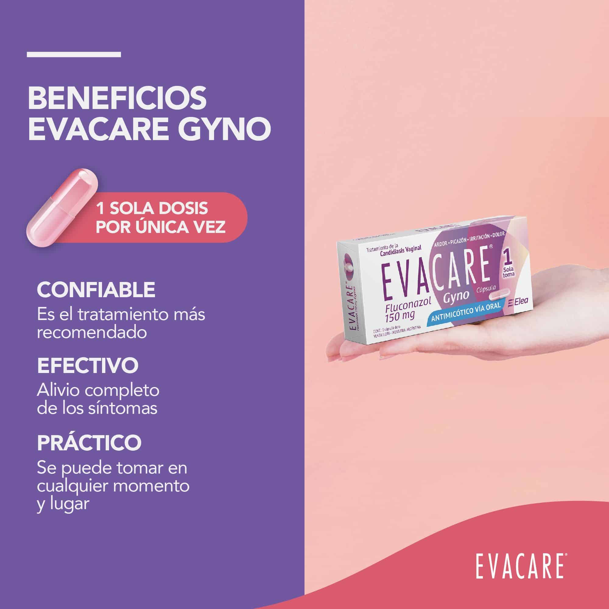 Imagen de galería 3
