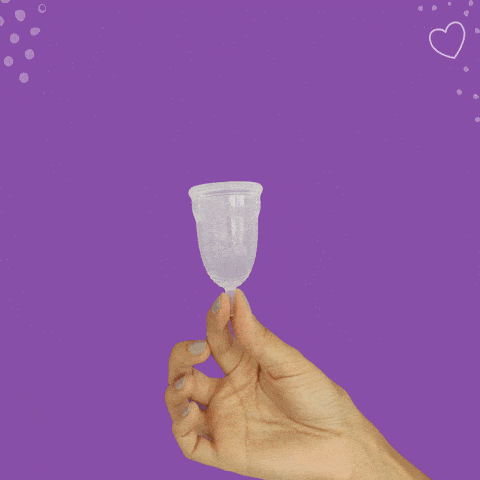 Gif de extraer