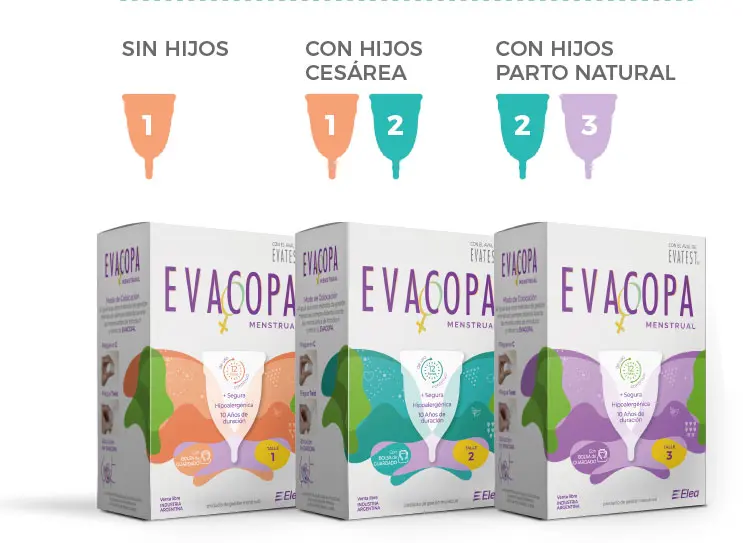 Características Evacopa talle 1