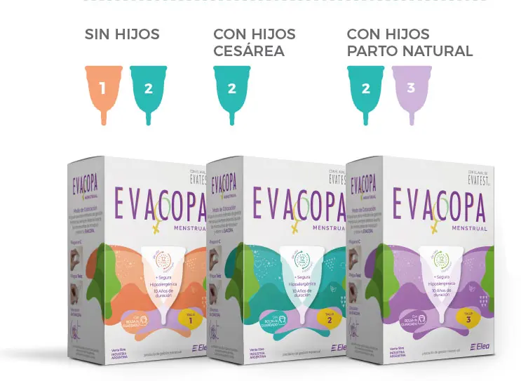 Características Evacopa talle 2