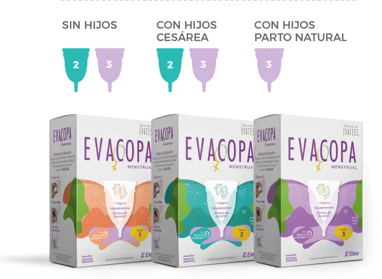 Características Evacopa talle 3