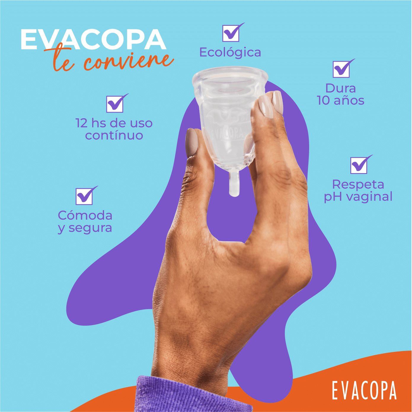 Imagen de galería 6