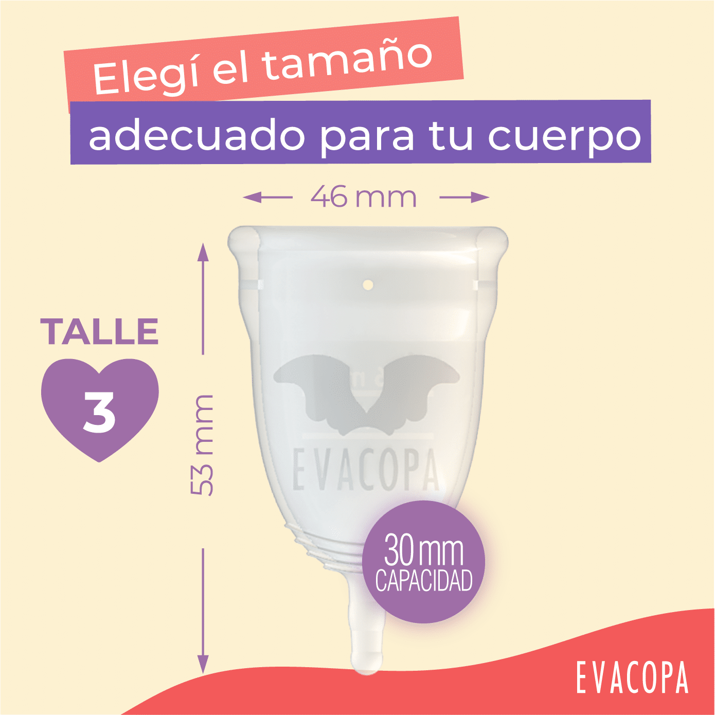 Imagen de galería 5