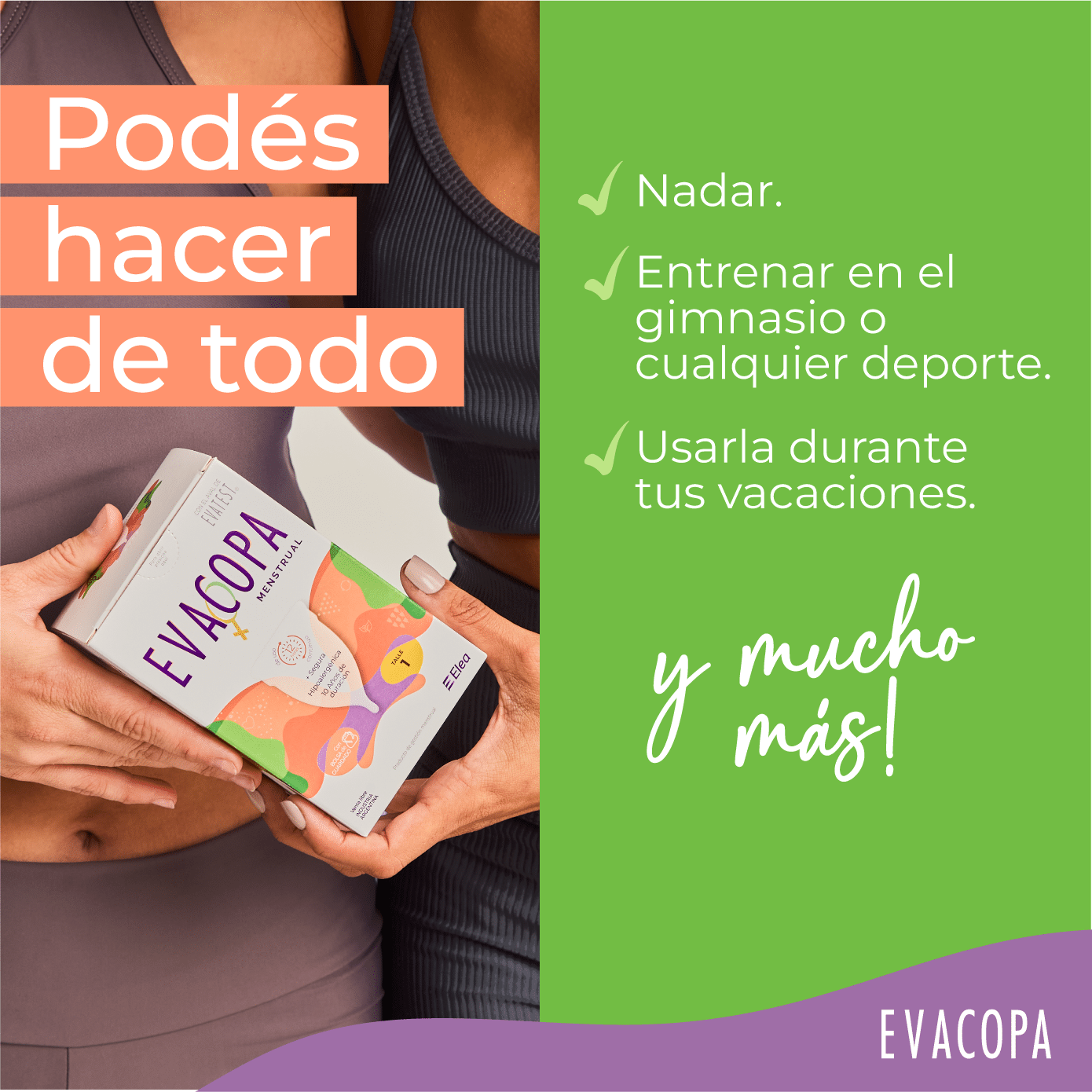 Imagen de galería 7