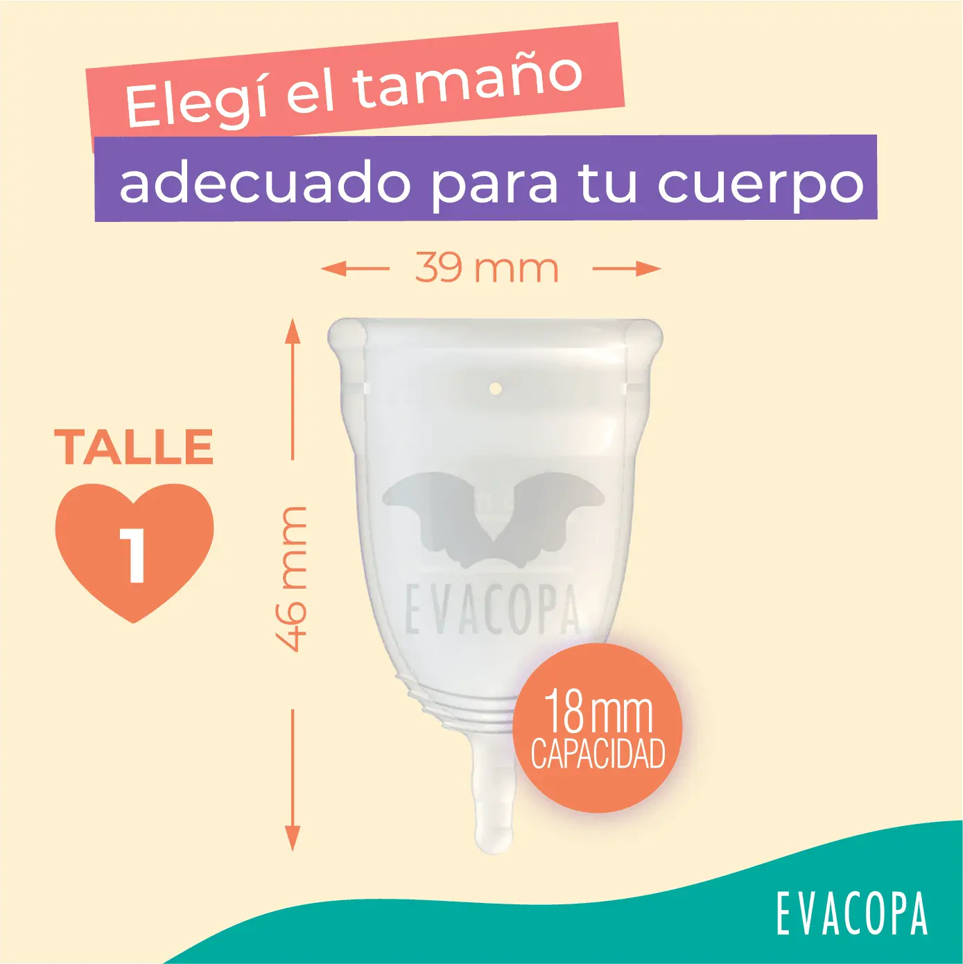 Imagen de galería 3