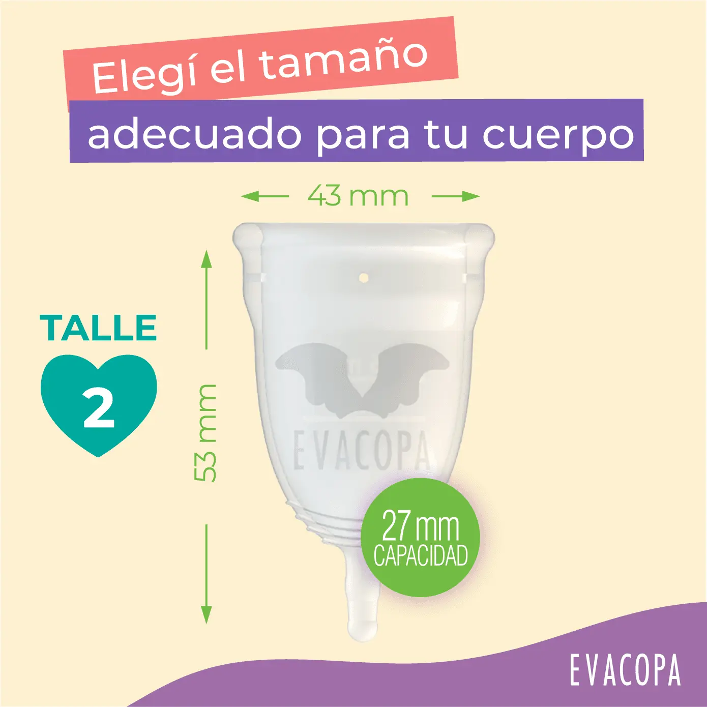 Imagen de galería 4