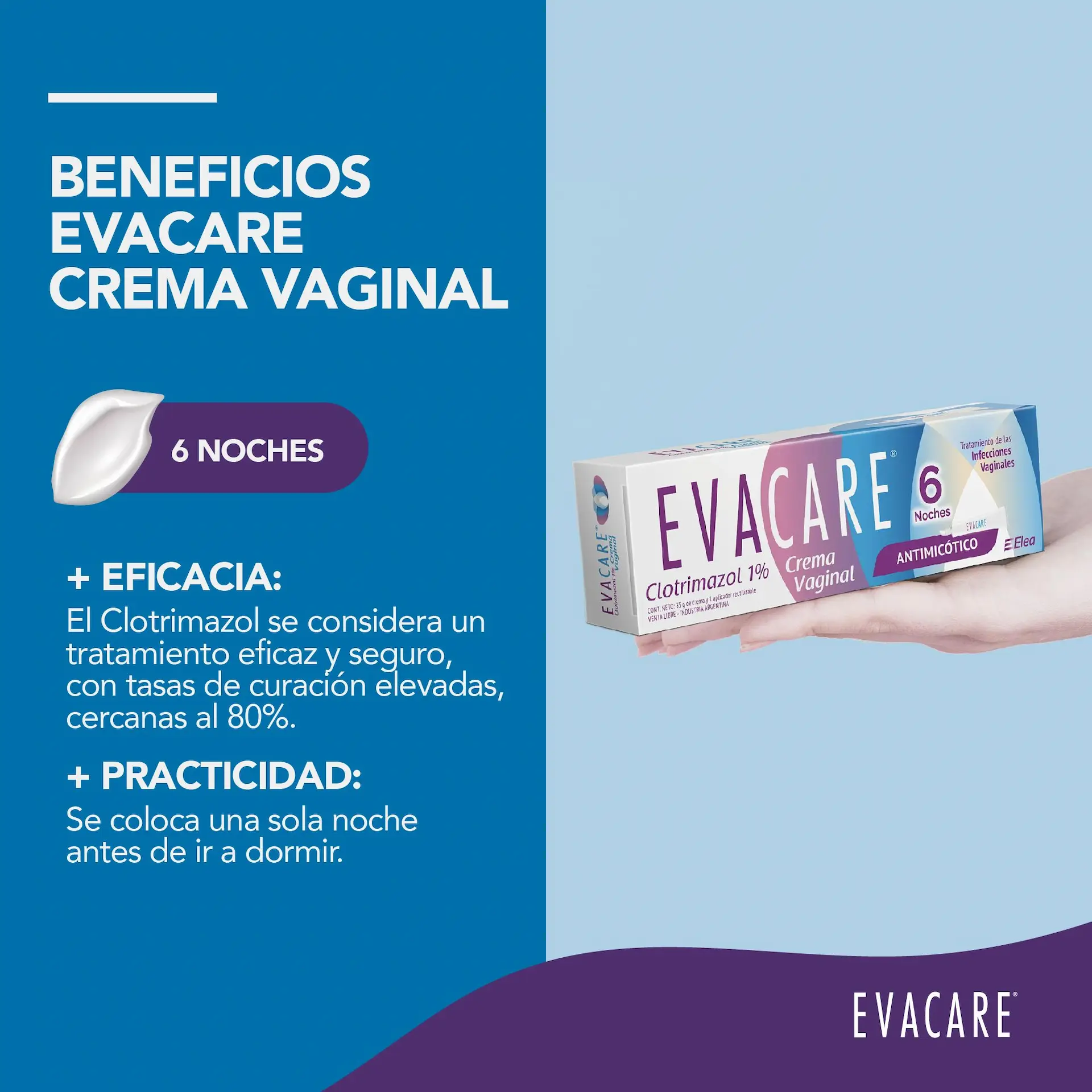 Imagen de galería 2