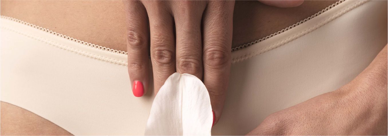 Conocé tu vulva