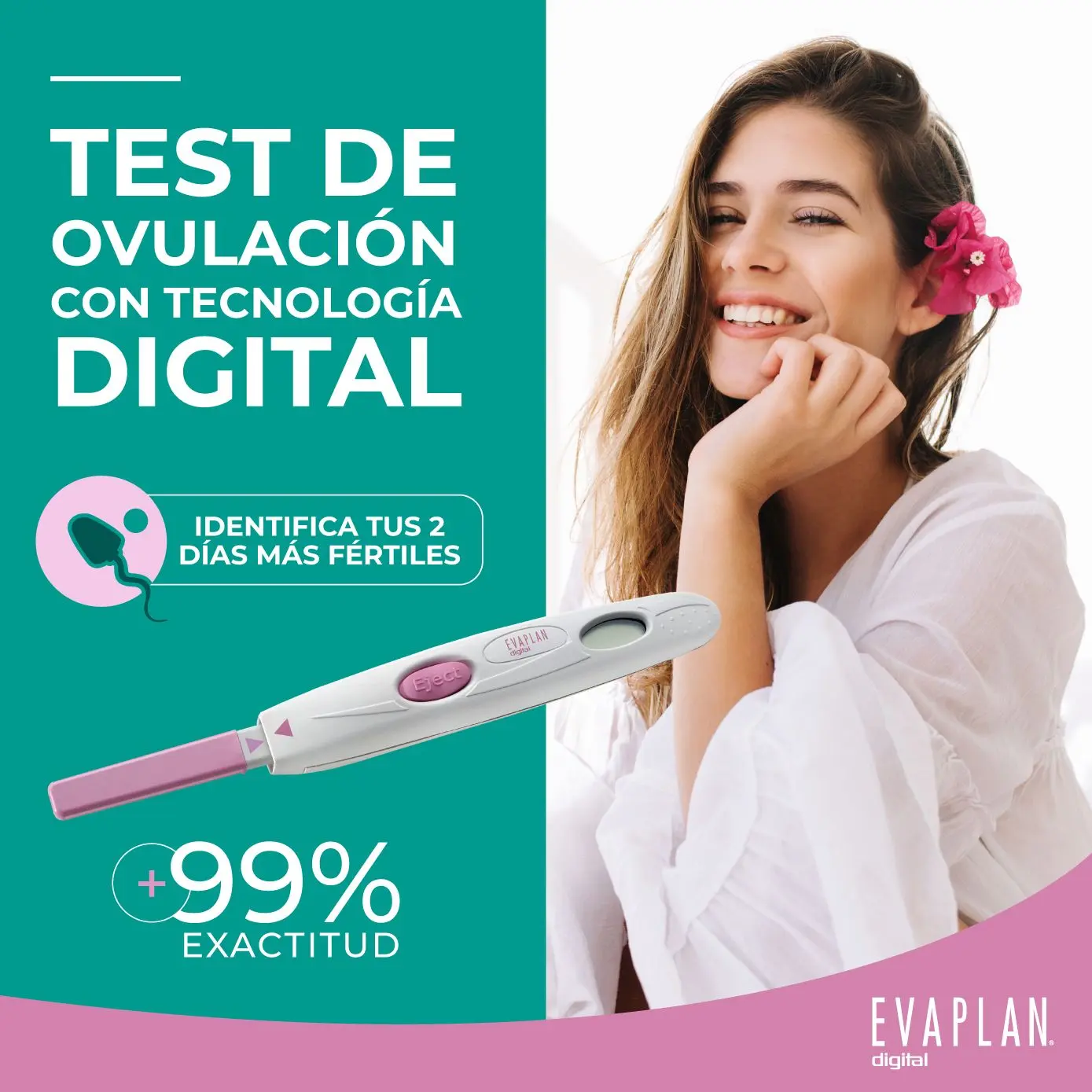 Imagen de galería 2