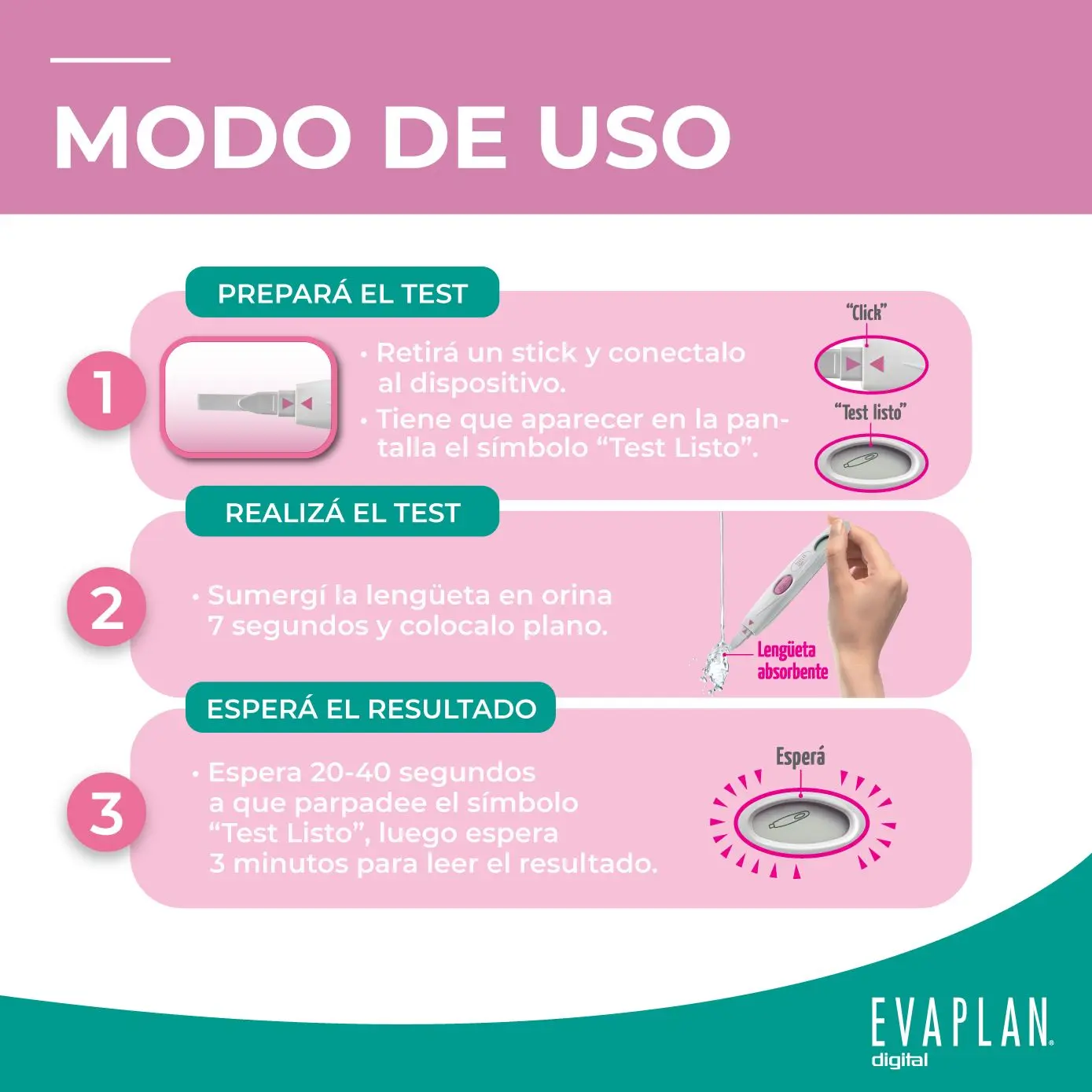 Imagen de galería 3