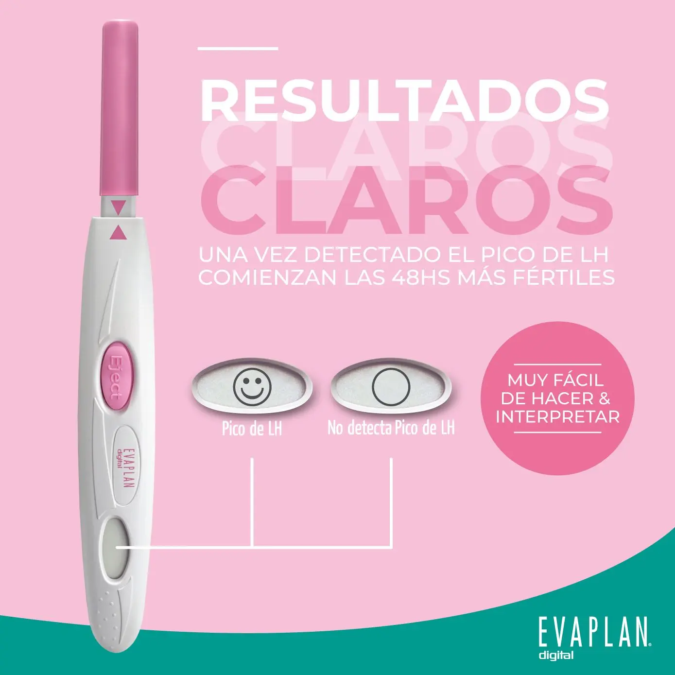 Imagen de galería 1