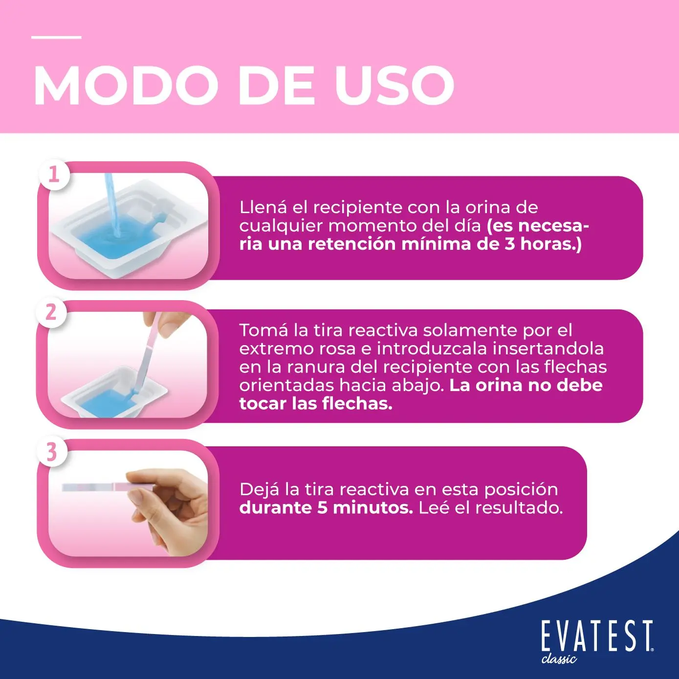 Imagen de galería 3