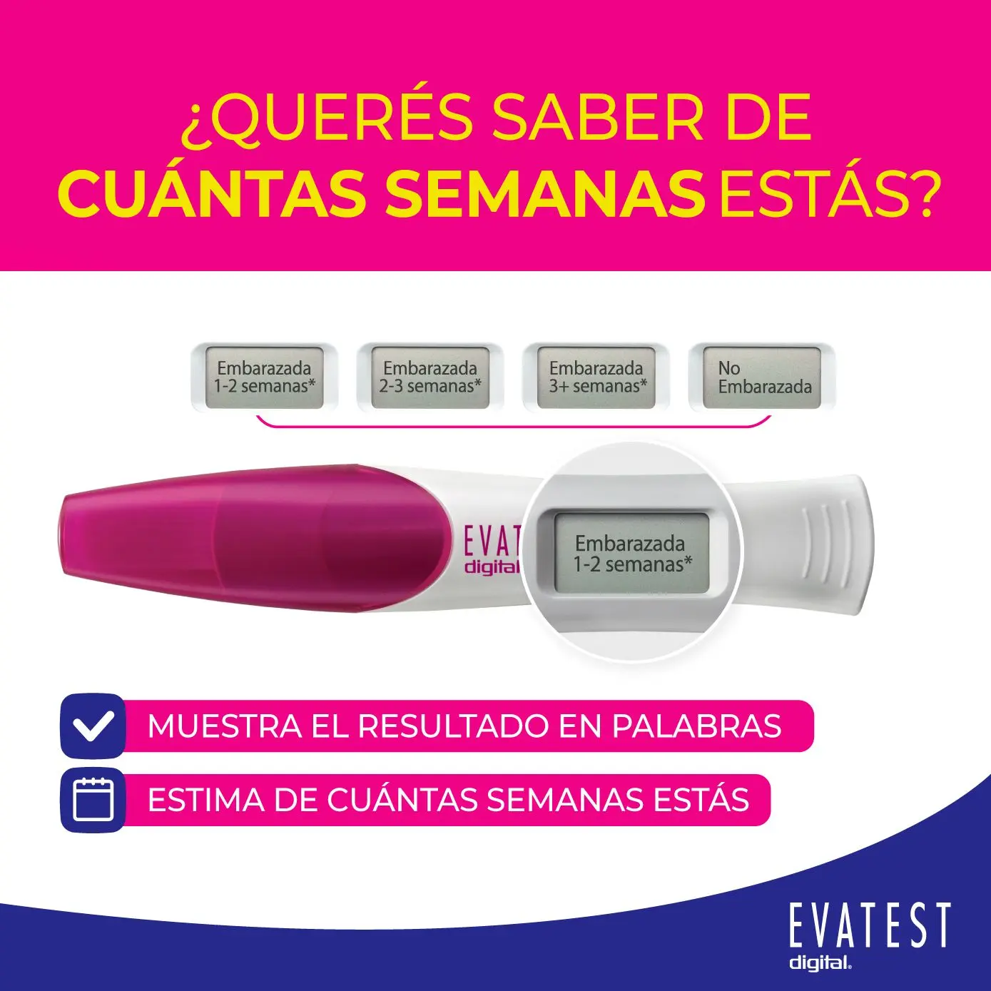 Imagen de galería 1