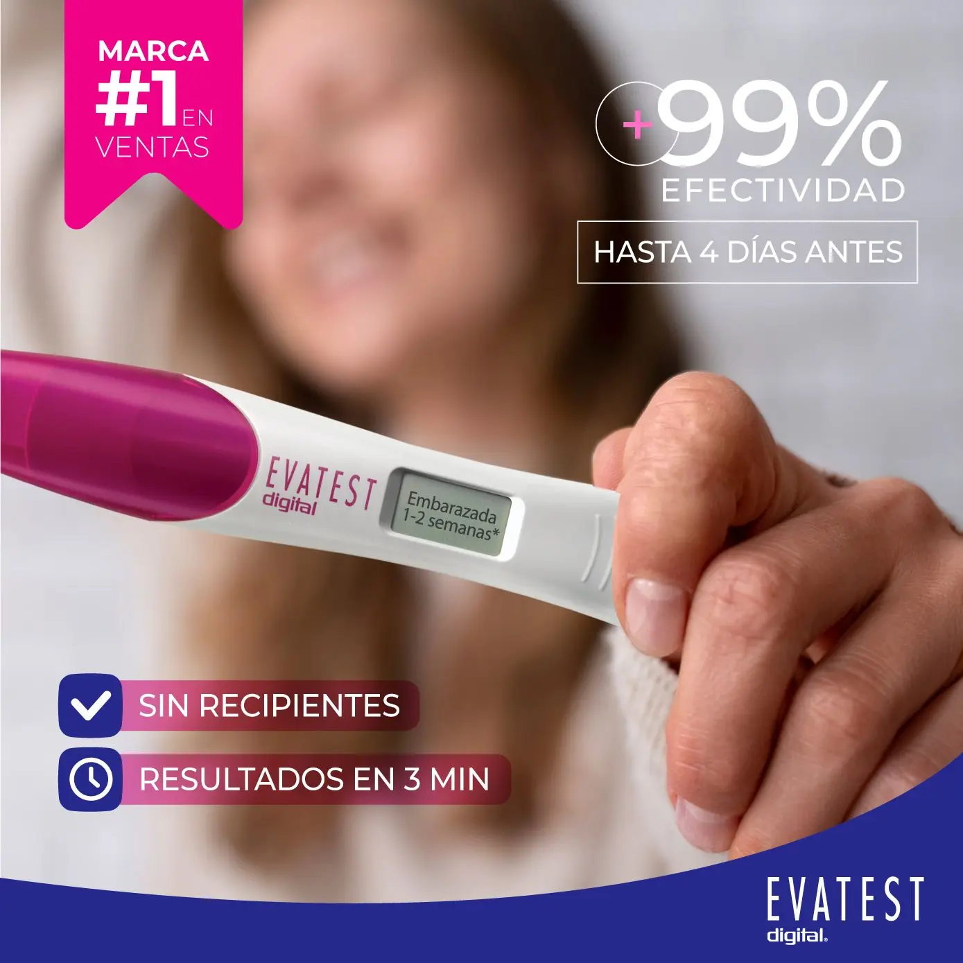 Imagen de galería 2
