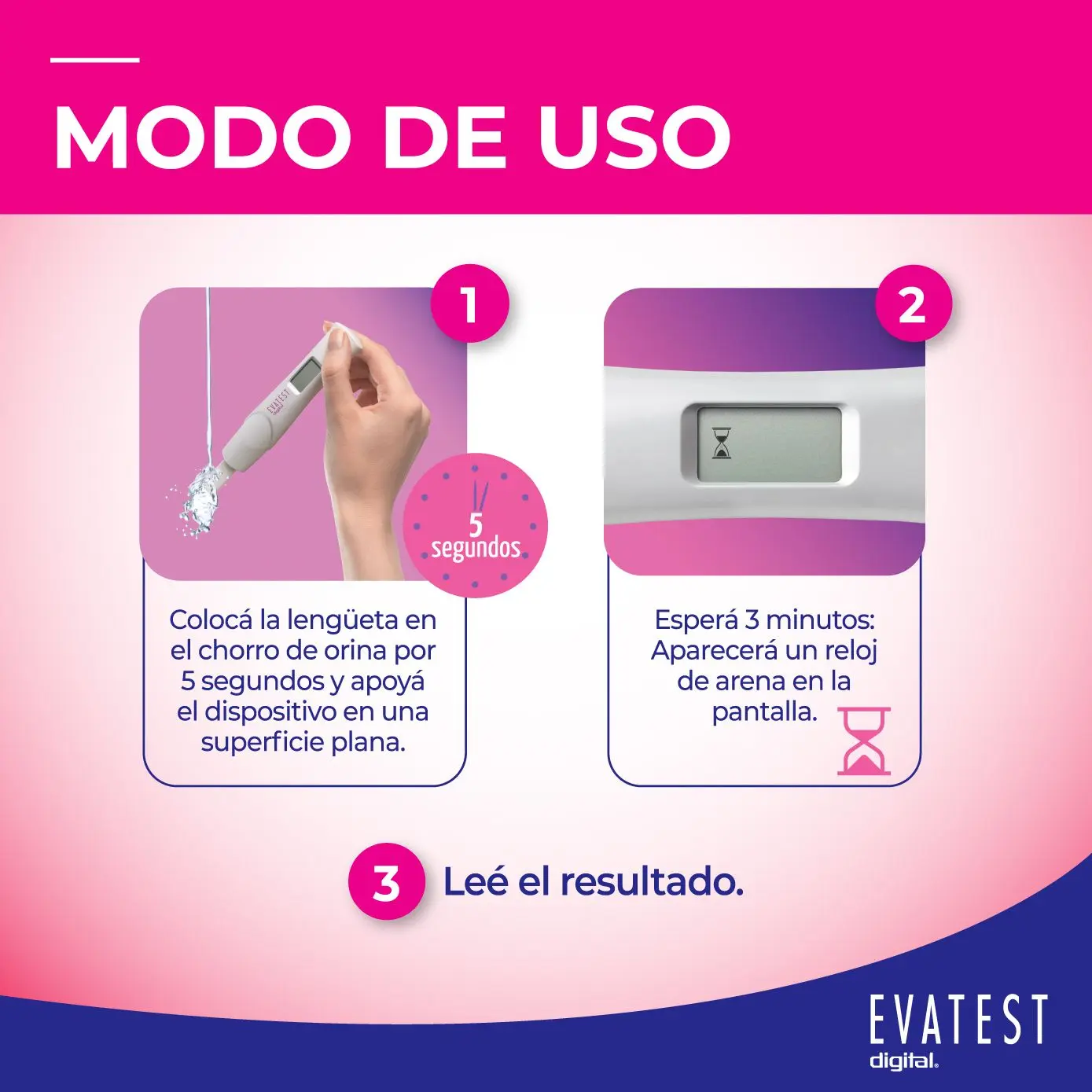 Imagen de galería 3
