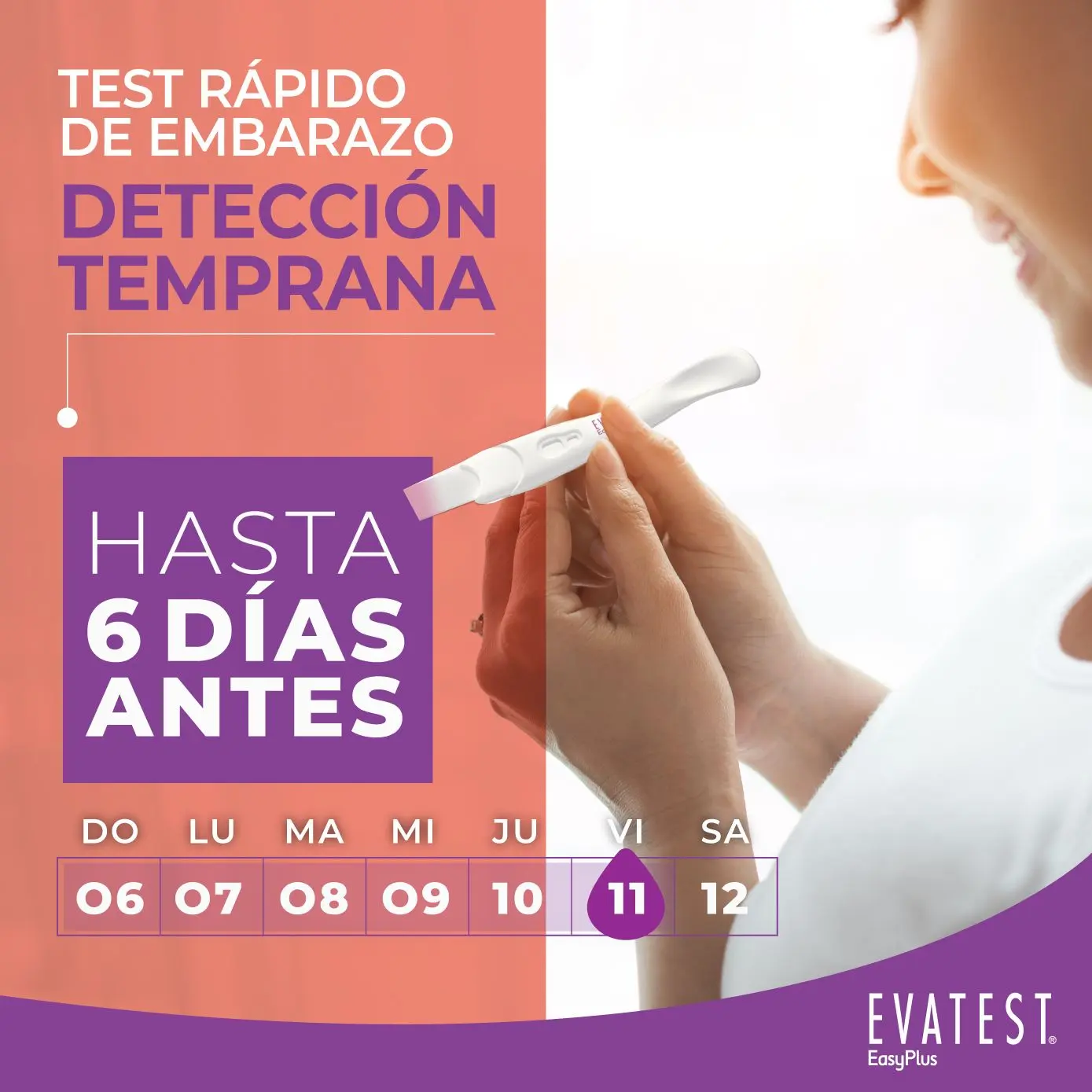 Imagen de galería 1