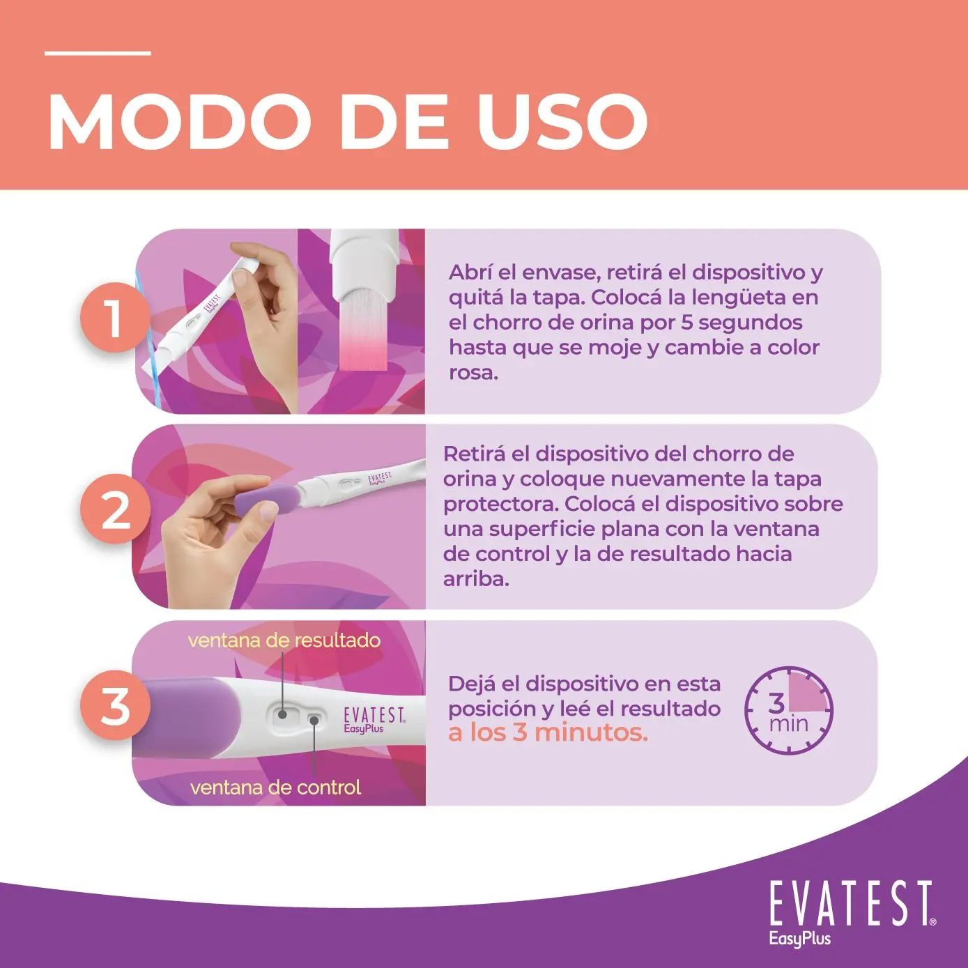 Imagen de galería 3