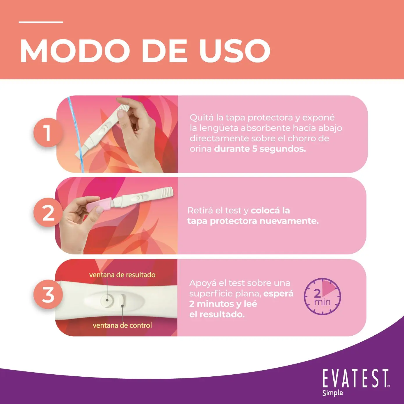 Imagen de galería 3