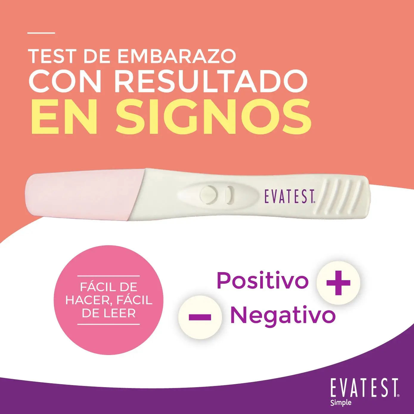 Imagen de galería 1