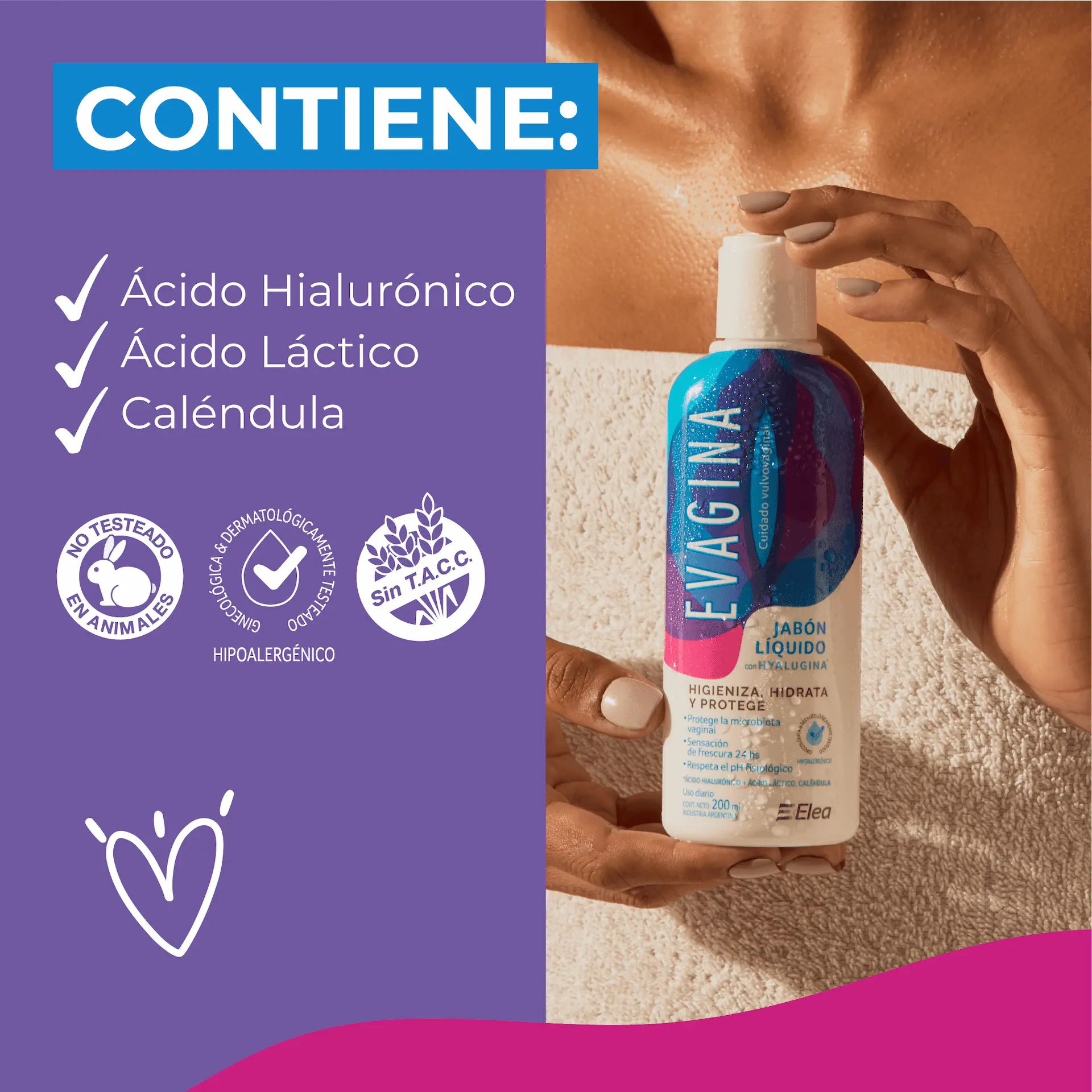 Imagen de galería 3