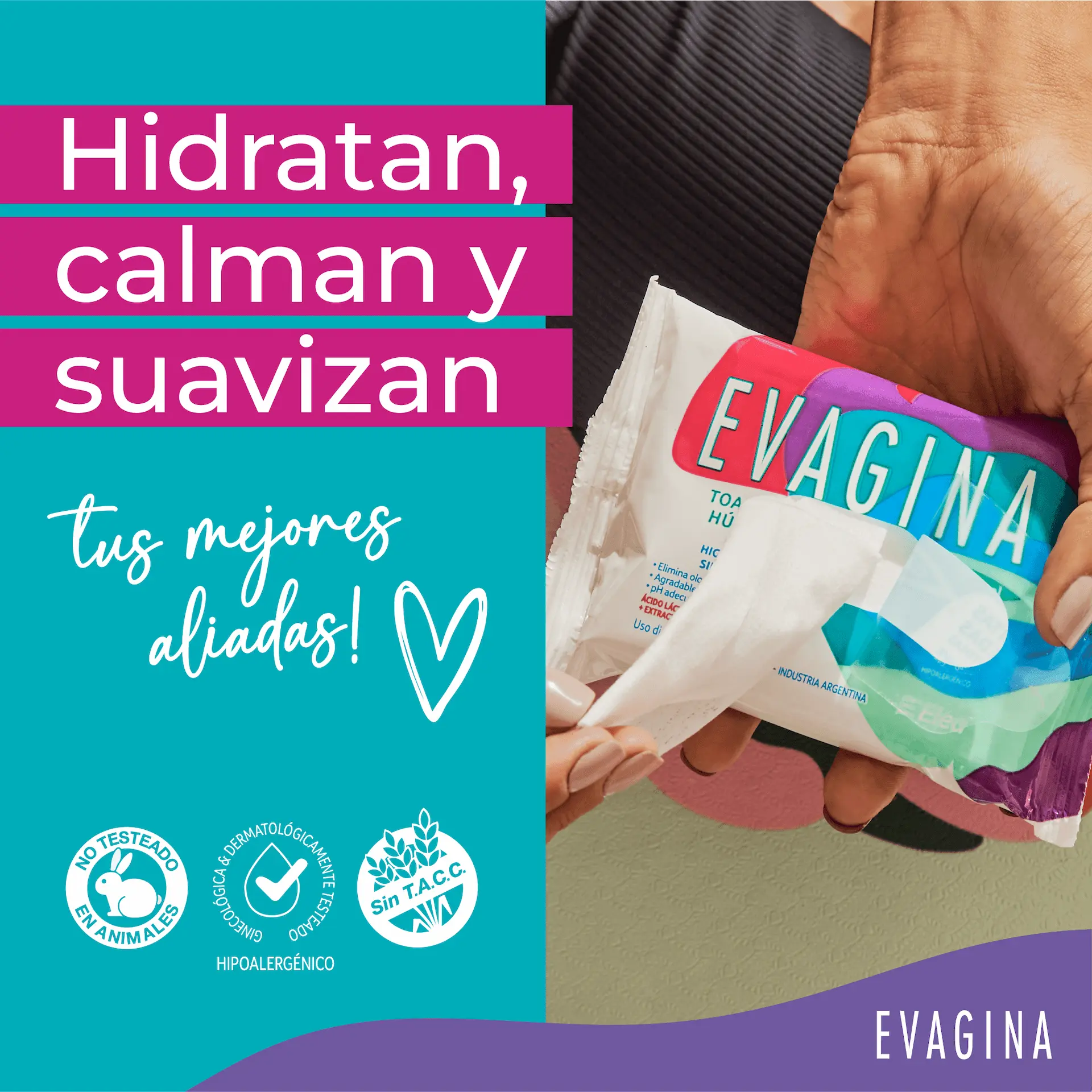 Imagen de galería 1