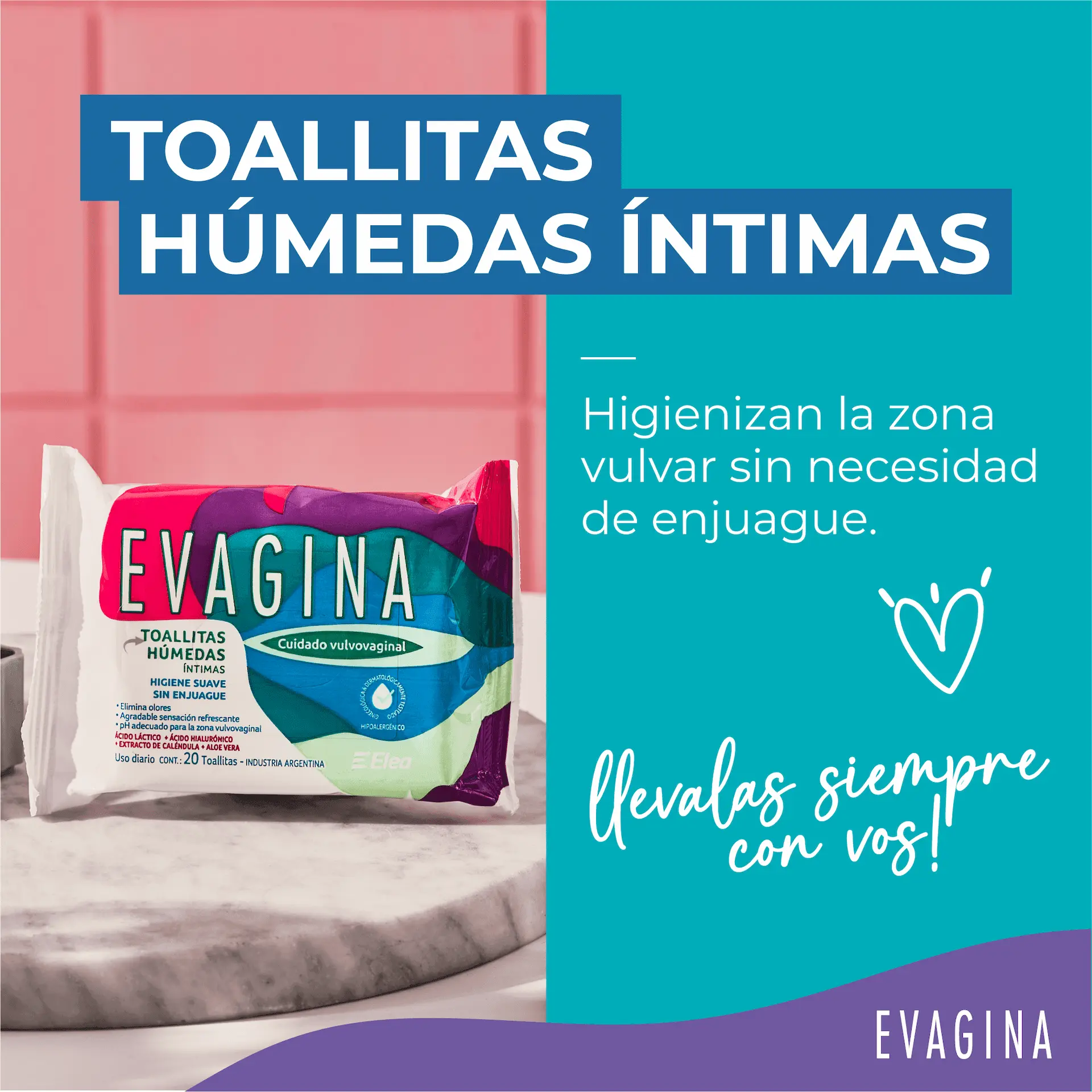 Imagen de galería 2