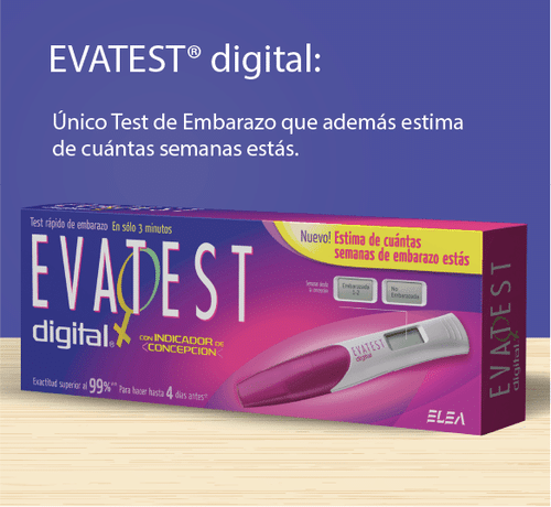 EVATEST presentación 1